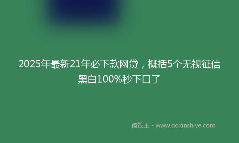 2025年最新21年必下款网贷，概括5个无视征信黑白100%秒下口子