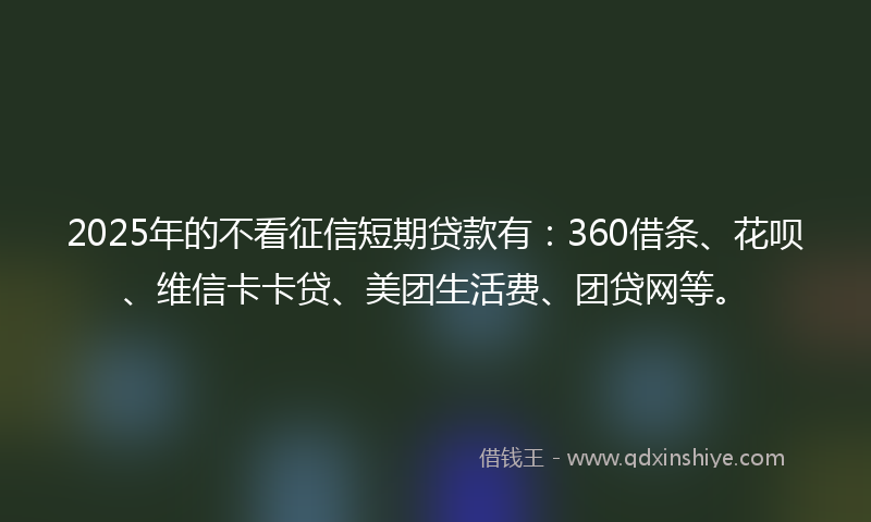 2025年的不看征信短期贷款有：360借条、花呗、维信卡卡贷、美团生活费、团贷网等。