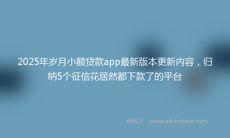 2025年岁月小额贷款app最新版本更新内容，归纳5个征信花居然都下款了的平台
