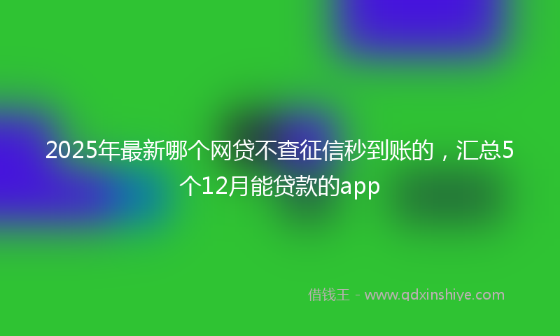2025年最新哪个网贷不查征信秒到账的，汇总5个12月能贷款的app