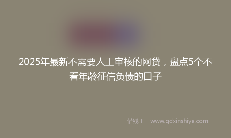 2025年最新不需要人工审核的网贷，盘点5个不看年龄征信负债的口子