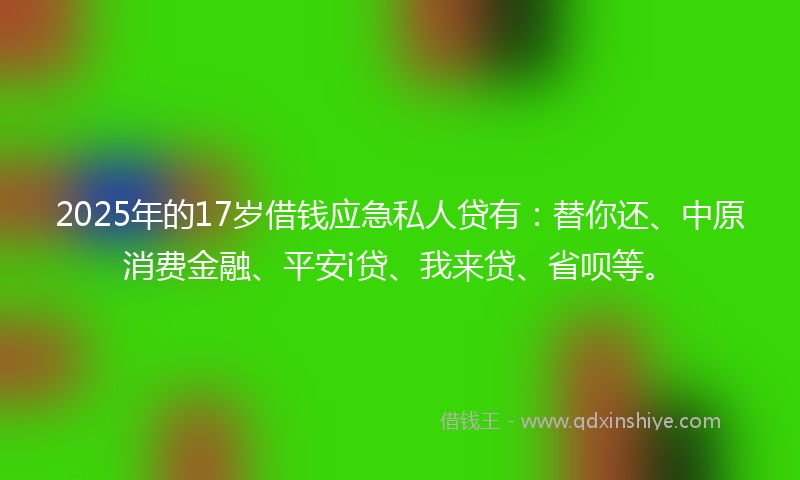 2025年的17岁借钱应急私人贷有：替你还、中原消费金融、平安i贷、我来贷、省呗等。
