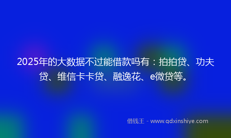 2025年的大数据不过能借款吗有：拍拍贷、功夫贷、维信卡卡贷、融逸花、e微贷等。