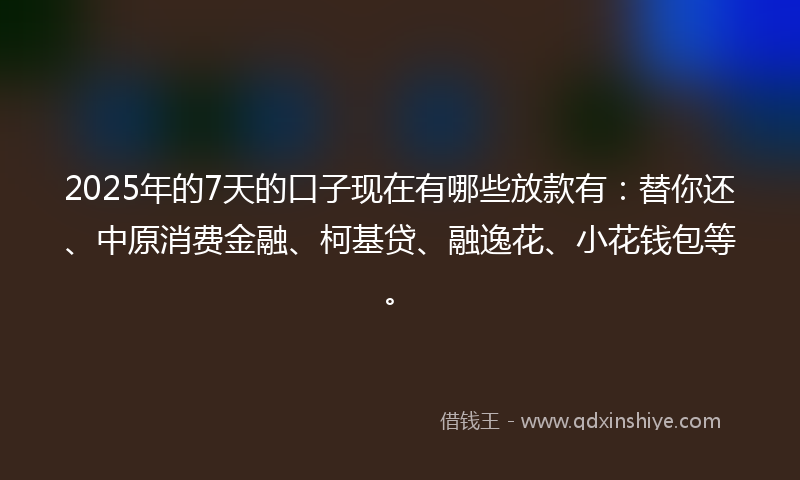 2025年的7天的口子现在有哪些放款有：替你还、中原消费金融、柯基贷、融逸花、小花钱包等。