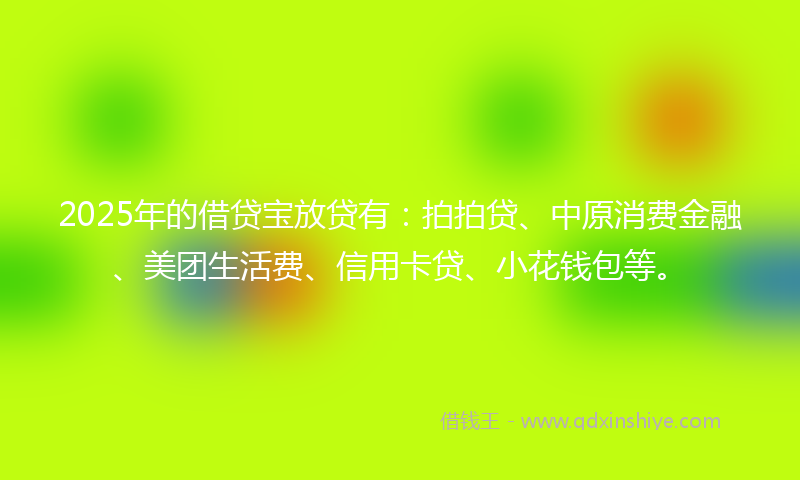 2025年的借贷宝放贷有：拍拍贷、中原消费金融、美团生活费、信用卡贷、小花钱包等。