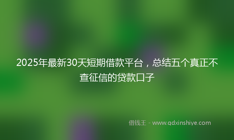 2025年最新30天短期借款平台，总结五个真正不查征信的贷款口子