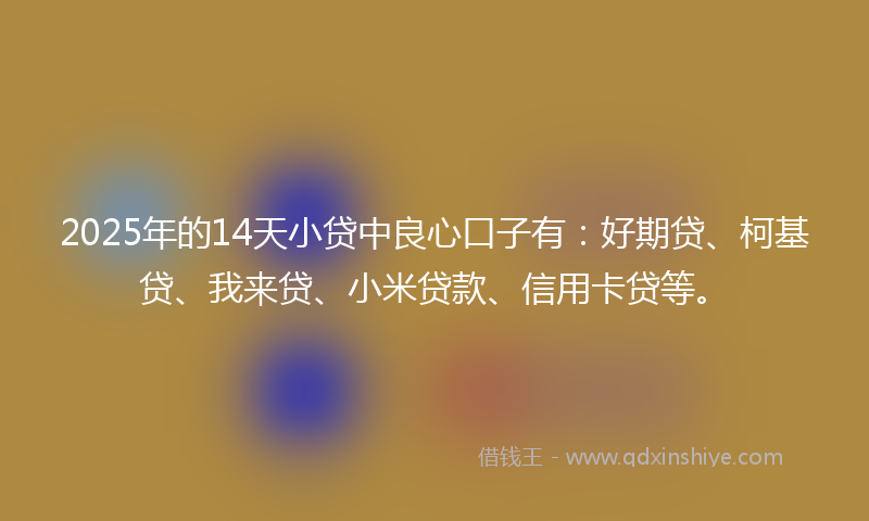 2025年的14天小贷中良心口子有：好期贷、柯基贷、我来贷、小米贷款、信用卡贷等。
