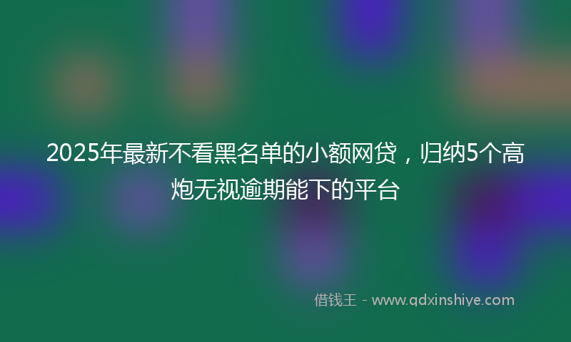 2025年最新不看黑名单的小额网贷，归纳5个高炮无视逾期能下的平台