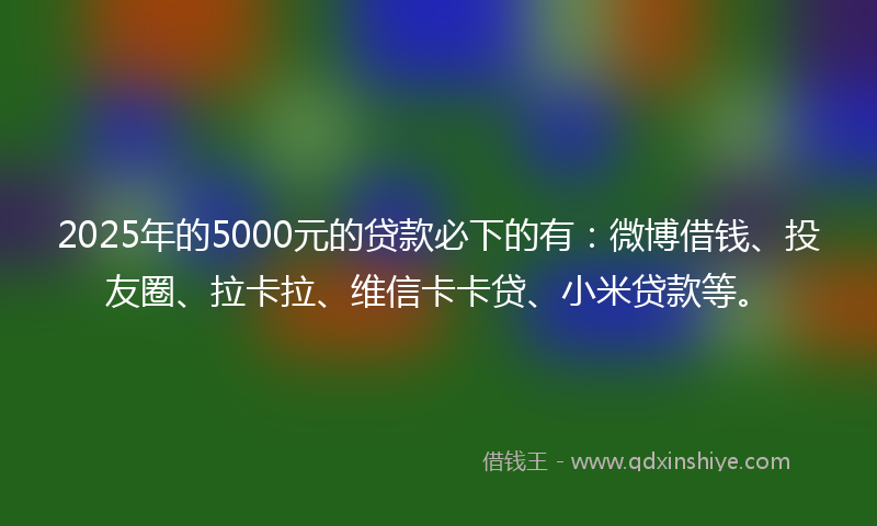 2025年的5000元的贷款必下的有：微博借钱、投友圈、拉卡拉、维信卡卡贷、小米贷款等。