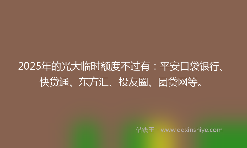2025年的光大临时额度不过有：平安口袋银行、快贷通、东方汇、投友圈、团贷网等。