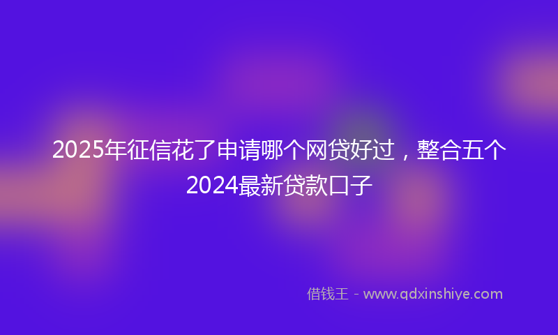 2025年征信花了申请哪个网贷好过，整合五个2024最新贷款口子