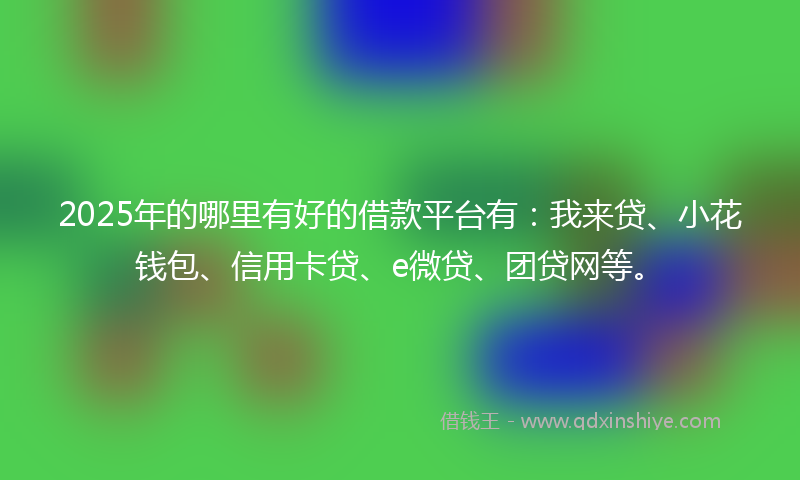 2025年的哪里有好的借款平台有：我来贷、小花钱包、信用卡贷、e微贷、团贷网等。