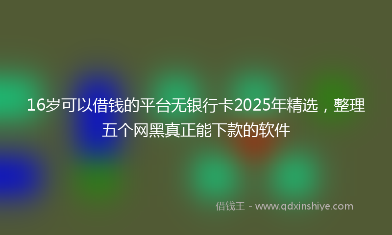 16岁可以借钱的平台无银行卡2025年精选，整理五个网黑真正能下款的软件