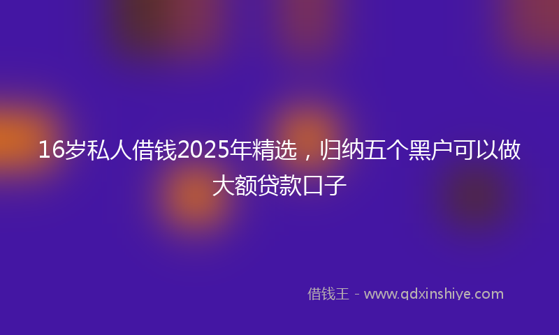 16岁私人借钱2025年精选，归纳五个黑户可以做大额贷款口子