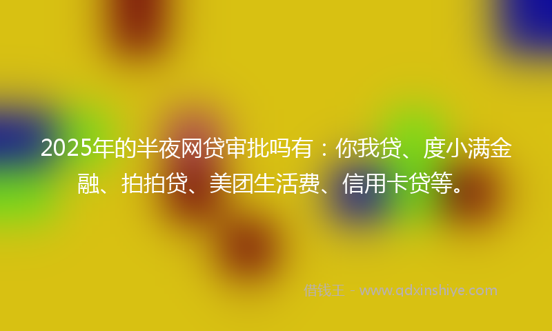 2025年的半夜网贷审批吗有：你我贷、度小满金融、拍拍贷、美团生活费、信用卡贷等。