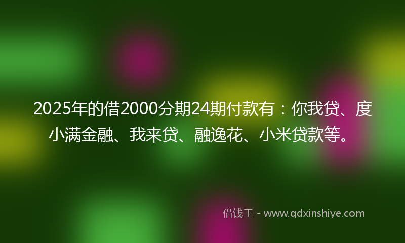 2025年的借2000分期24期付款有：你我贷、度小满金融、我来贷、融逸花、小米贷款等。