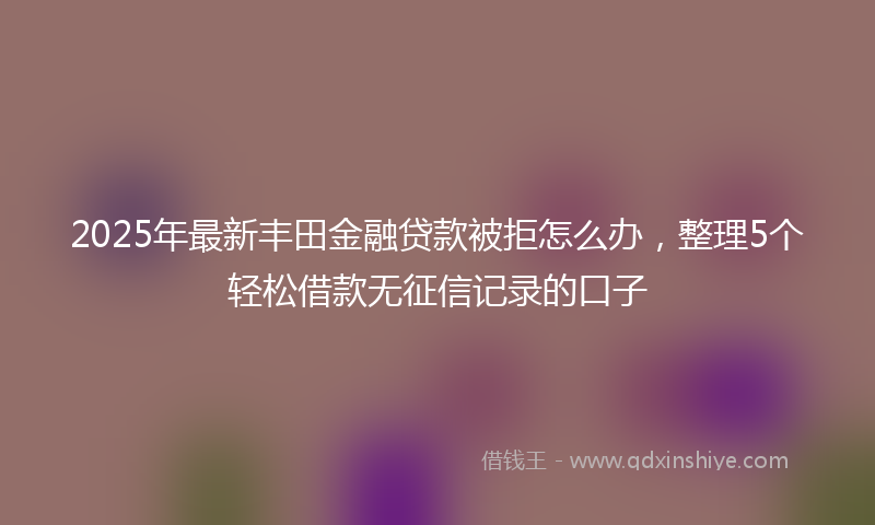 2025年最新丰田金融贷款被拒怎么办，整理5个轻松借款无征信记录的口子