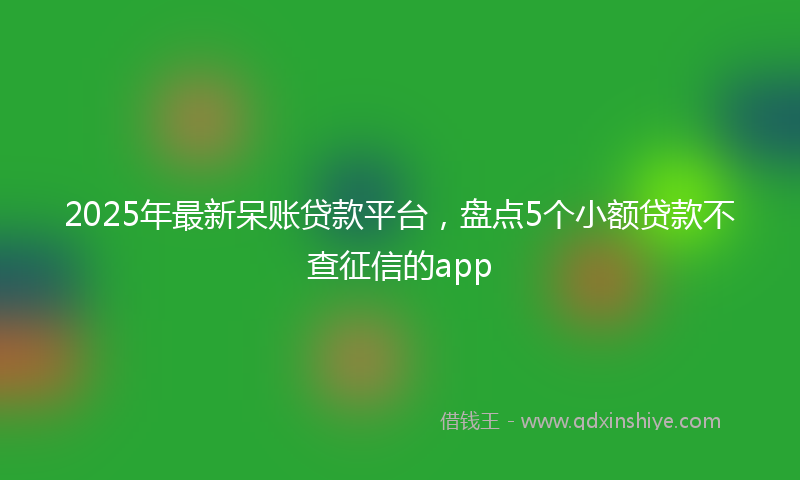 2025年最新呆账贷款平台，盘点5个小额贷款不查征信的app