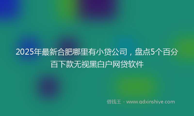 2025年最新合肥哪里有小贷公司，盘点5个百分百下款无视黑白户网贷软件