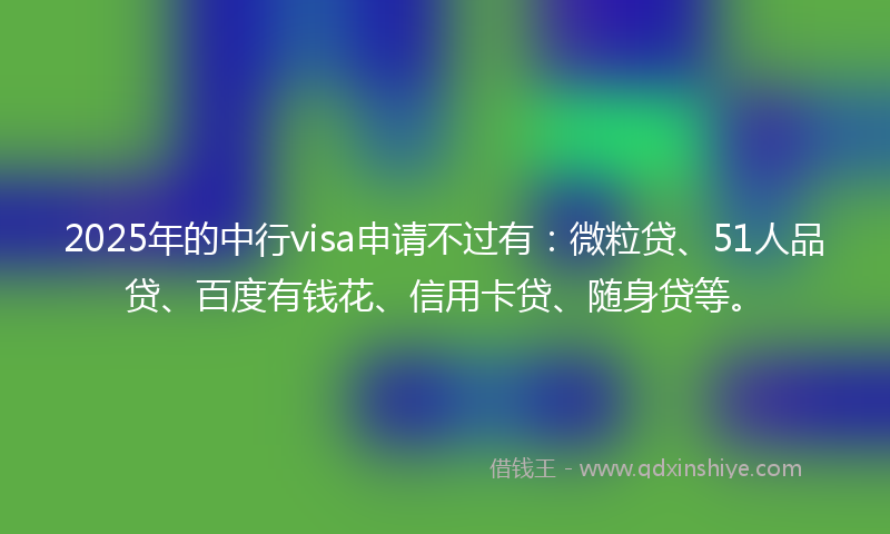 2025年的中行visa申请不过有：微粒贷、51人品贷、百度有钱花、信用卡贷、随身贷等。