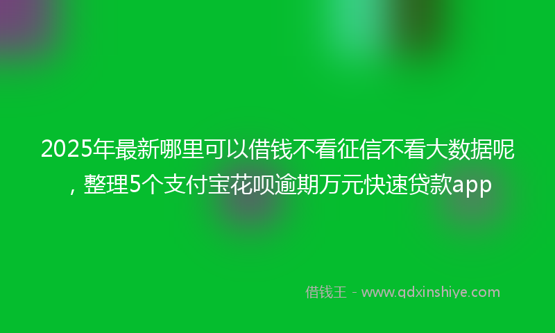 2025年最新哪里可以借钱不看征信不看大数据呢，整理5个支付宝花呗逾期万元快速贷款app