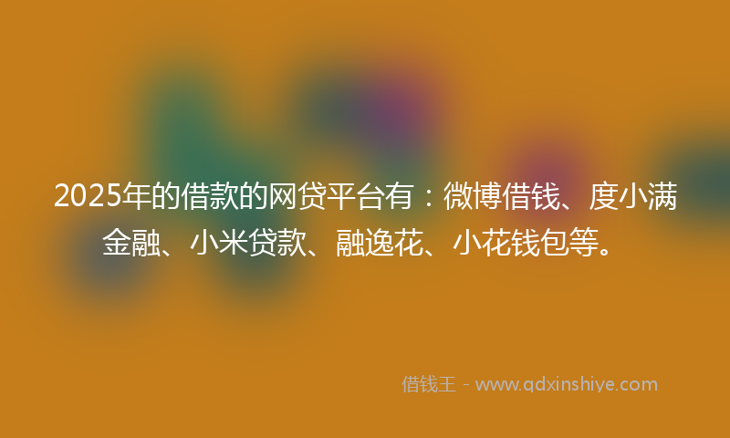 2025年的借款的网贷平台有：微博借钱、度小满金融、小米贷款、融逸花、小花钱包等。