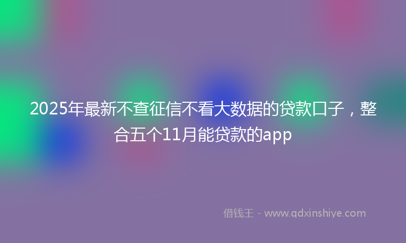 2025年最新不查征信不看大数据的贷款口子，整合五个11月能贷款的app