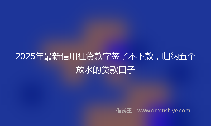 2025年最新信用社贷款字签了不下款，归纳五个放水的贷款口子
