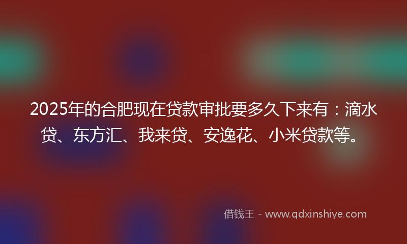 2025年的合肥现在贷款审批要多久下来有：滴水贷、东方汇、我来贷、安逸花、小米贷款等。