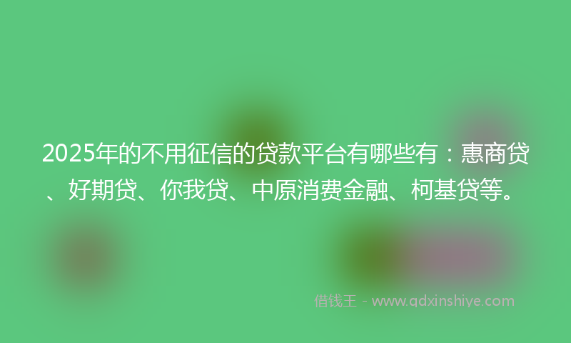 2025年的不用征信的贷款平台有哪些有：惠商贷、好期贷、你我贷、中原消费金融、柯基贷等。