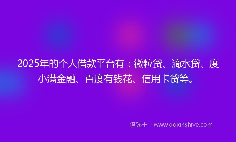 2025年的个人借款平台有：微粒贷、滴水贷、度小满金融、百度有钱花、信用卡贷等。