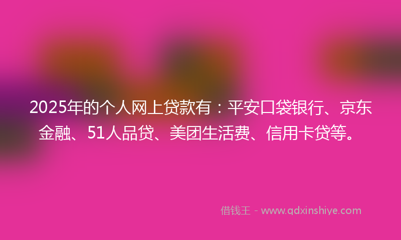2025年的个人网上贷款有：平安口袋银行、京东金融、51人品贷、美团生活费、信用卡贷等。