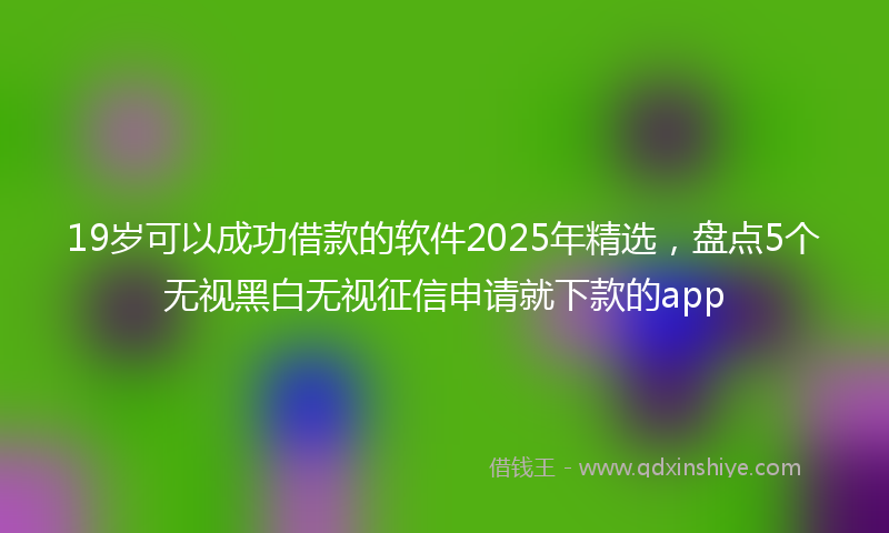 19岁可以成功借款的软件2025年精选，盘点5个无视黑白无视征信申请就下款的app