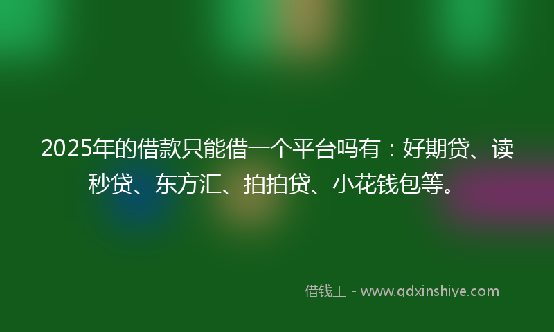 2025年的借款只能借一个平台吗有：好期贷、读秒贷、东方汇、拍拍贷、小花钱包等。