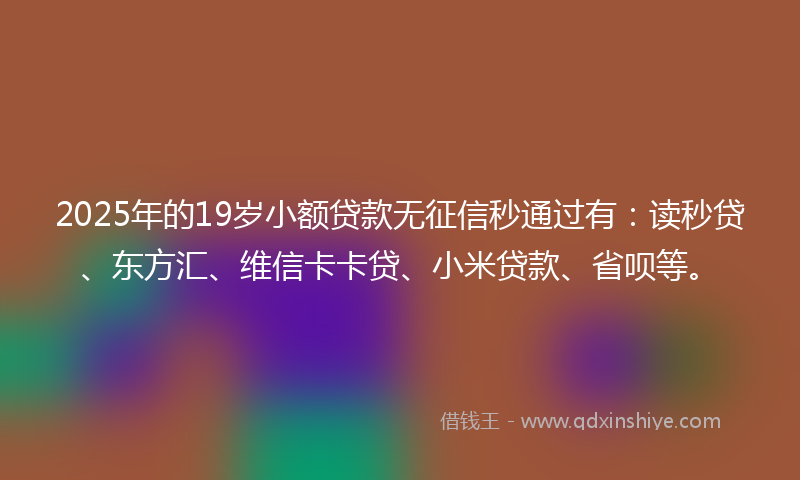 2025年的19岁小额贷款无征信秒通过有：读秒贷、东方汇、维信卡卡贷、小米贷款、省呗等。