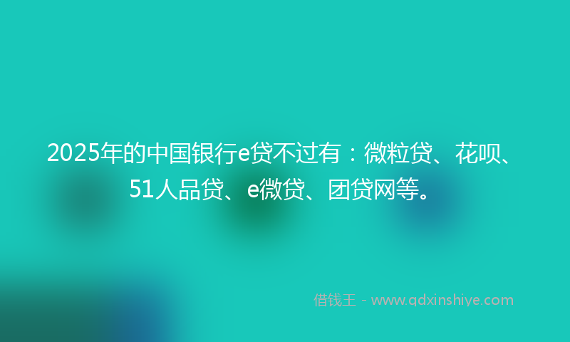 2025年的中国银行e贷不过有：微粒贷、花呗、51人品贷、e微贷、团贷网等。