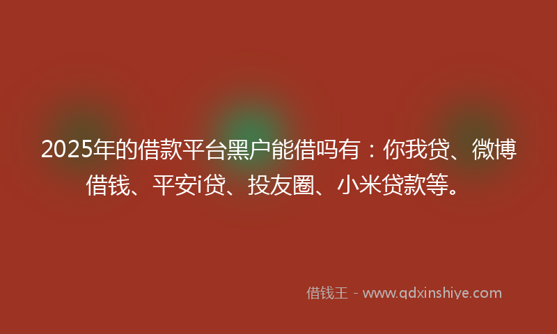 2025年的借款平台黑户能借吗有：你我贷、微博借钱、平安i贷、投友圈、小米贷款等。