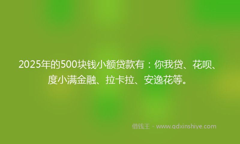 2025年的500块钱小额贷款有：你我贷、花呗、度小满金融、拉卡拉、安逸花等。