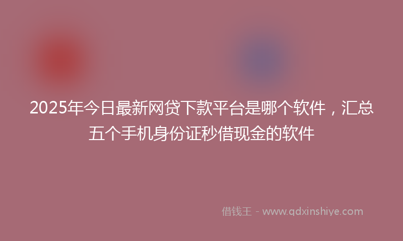 2025年今日最新网贷下款平台是哪个软件，汇总五个手机身份证秒借现金的软件