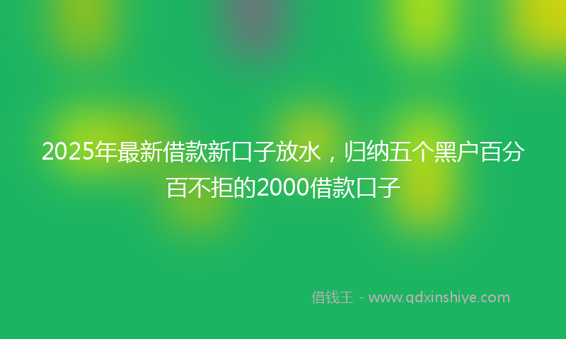 2025年最新借款新口子放水，归纳五个黑户百分百不拒的2000借款口子
