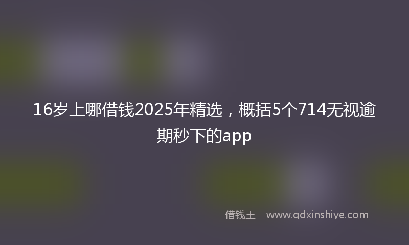 16岁上哪借钱2025年精选，概括5个714无视逾期秒下的app