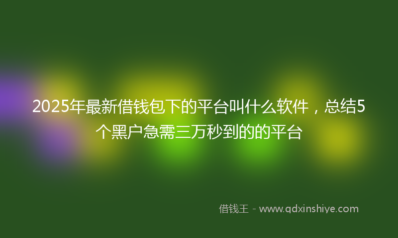 2025年最新借钱包下的平台叫什么软件，总结5个黑户急需三万秒到的的平台