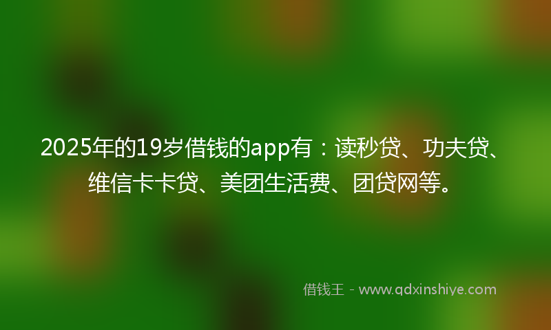 2025年的19岁借钱的app有：读秒贷、功夫贷、维信卡卡贷、美团生活费、团贷网等。