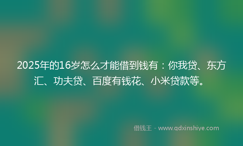 2025年的16岁怎么才能借到钱有：你我贷、东方汇、功夫贷、百度有钱花、小米贷款等。