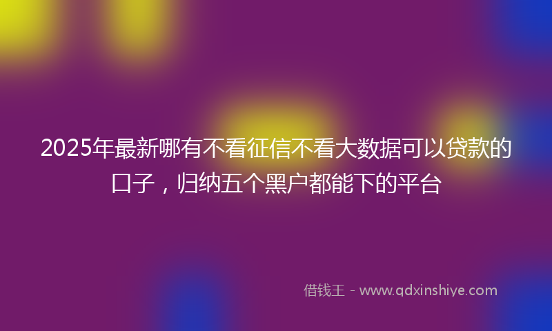 2025年最新哪有不看征信不看大数据可以贷款的口子，归纳五个黑户都能下的平台