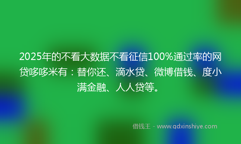 2025年的不看大数据不看征信100%通过率的网贷哆哆米有：替你还、滴水贷、微博借钱、度小满金融、人人贷等。
