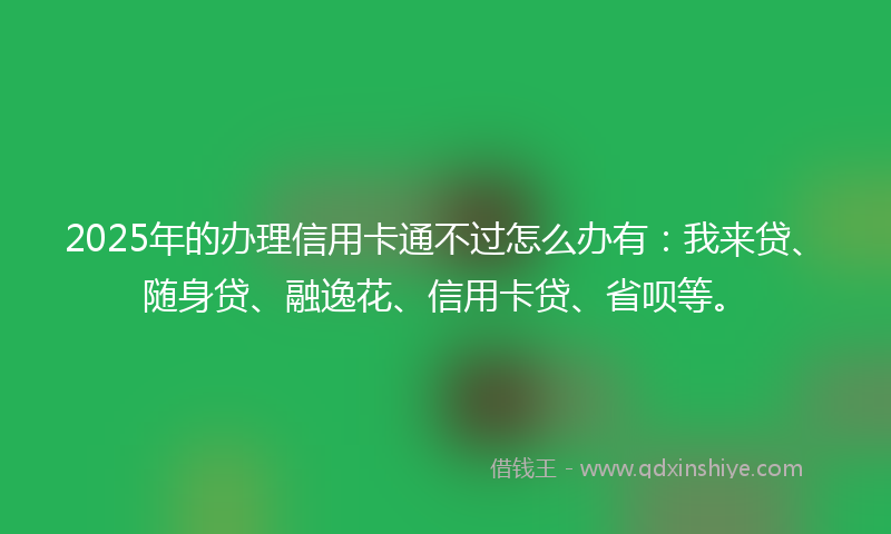 2025年的办理信用卡通不过怎么办有：我来贷、随身贷、融逸花、信用卡贷、省呗等。