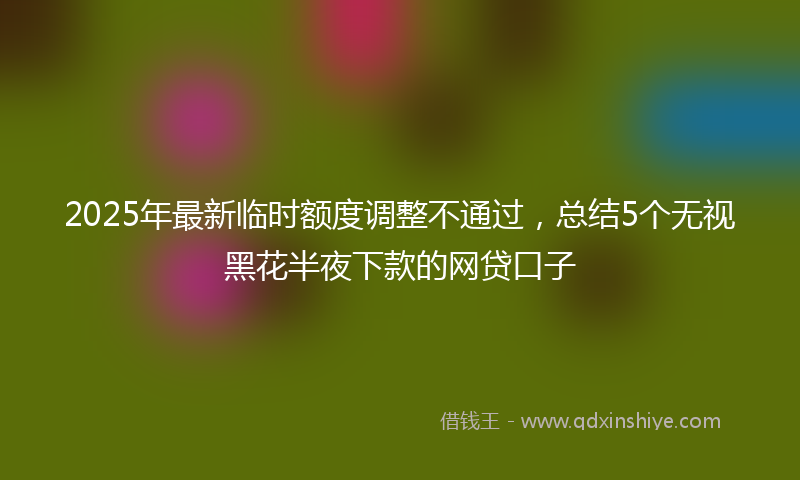 2025年最新临时额度调整不通过，总结5个无视黑花半夜下款的网贷口子