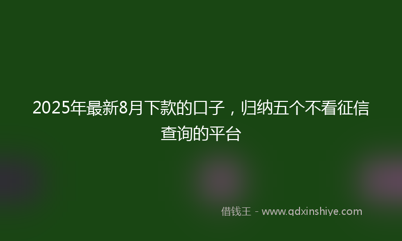 2025年最新8月下款的口子，归纳五个不看征信查询的平台