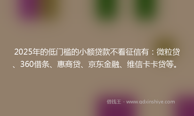 2025年的低门槛的小额贷款不看征信有：微粒贷、360借条、惠商贷、京东金融、维信卡卡贷等。
